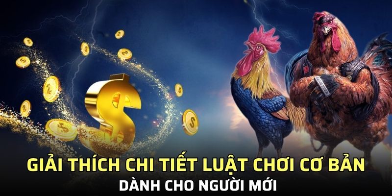 Giải thích chi tiết về luật chơi cơ bản dành cho người mới