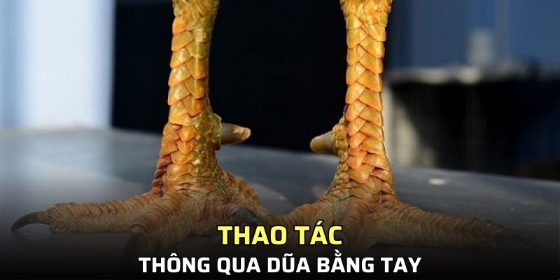 Thực hiện qua việc dũa