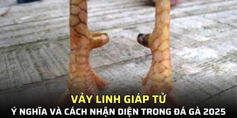 Vảy linh giáp tử